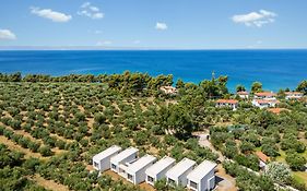 Olea Villas By Halu!, Cozy Villa In Nikiti
