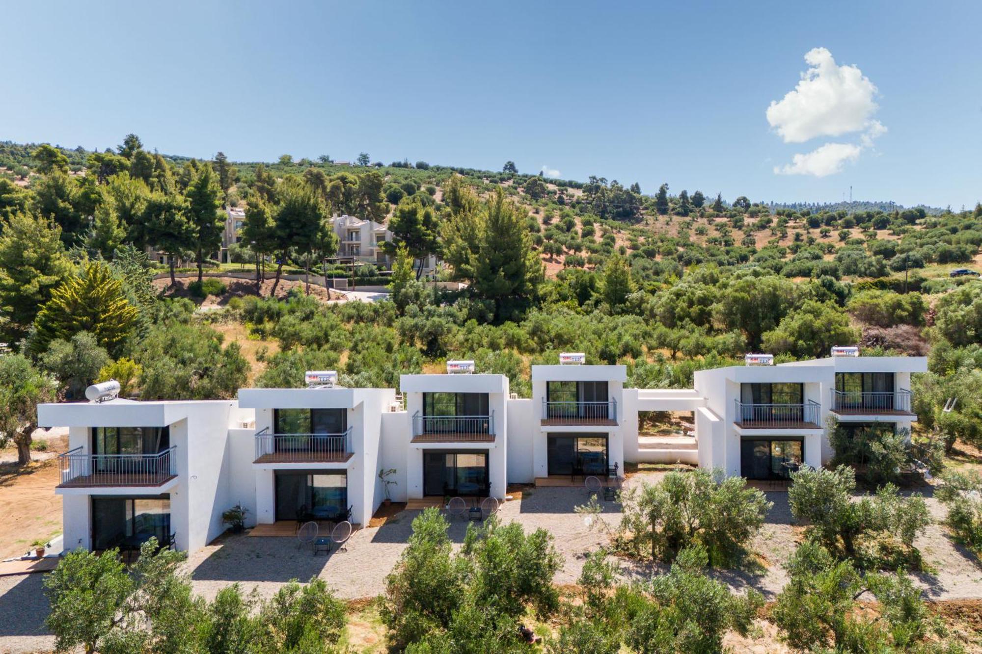 Olea Villas By Halu!, Cozy Villa In Nikiti Лагомандра Екстериор снимка