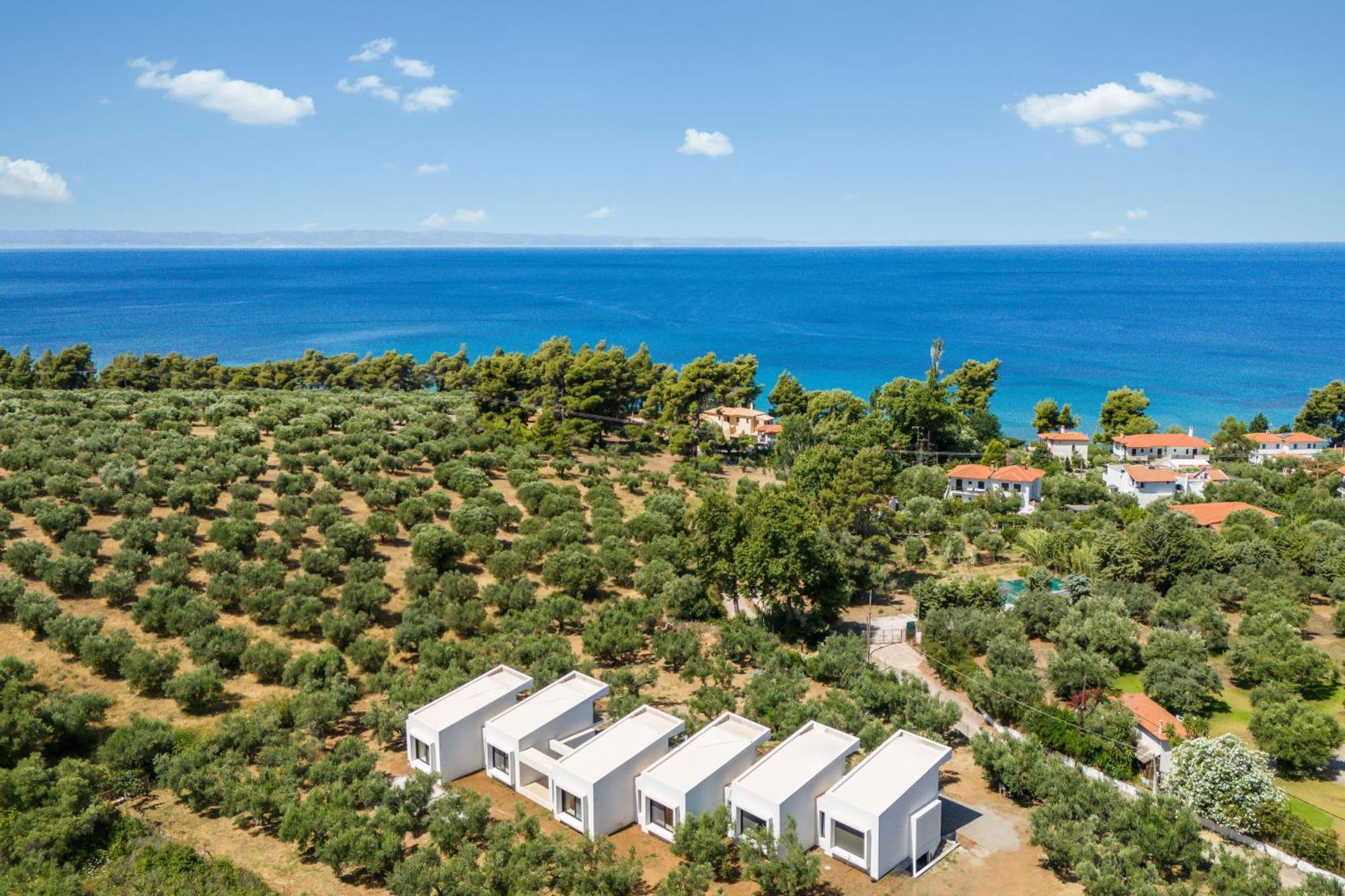 Olea Villas By Halu!, Cozy Villa In Nikiti Лагомандра Екстериор снимка