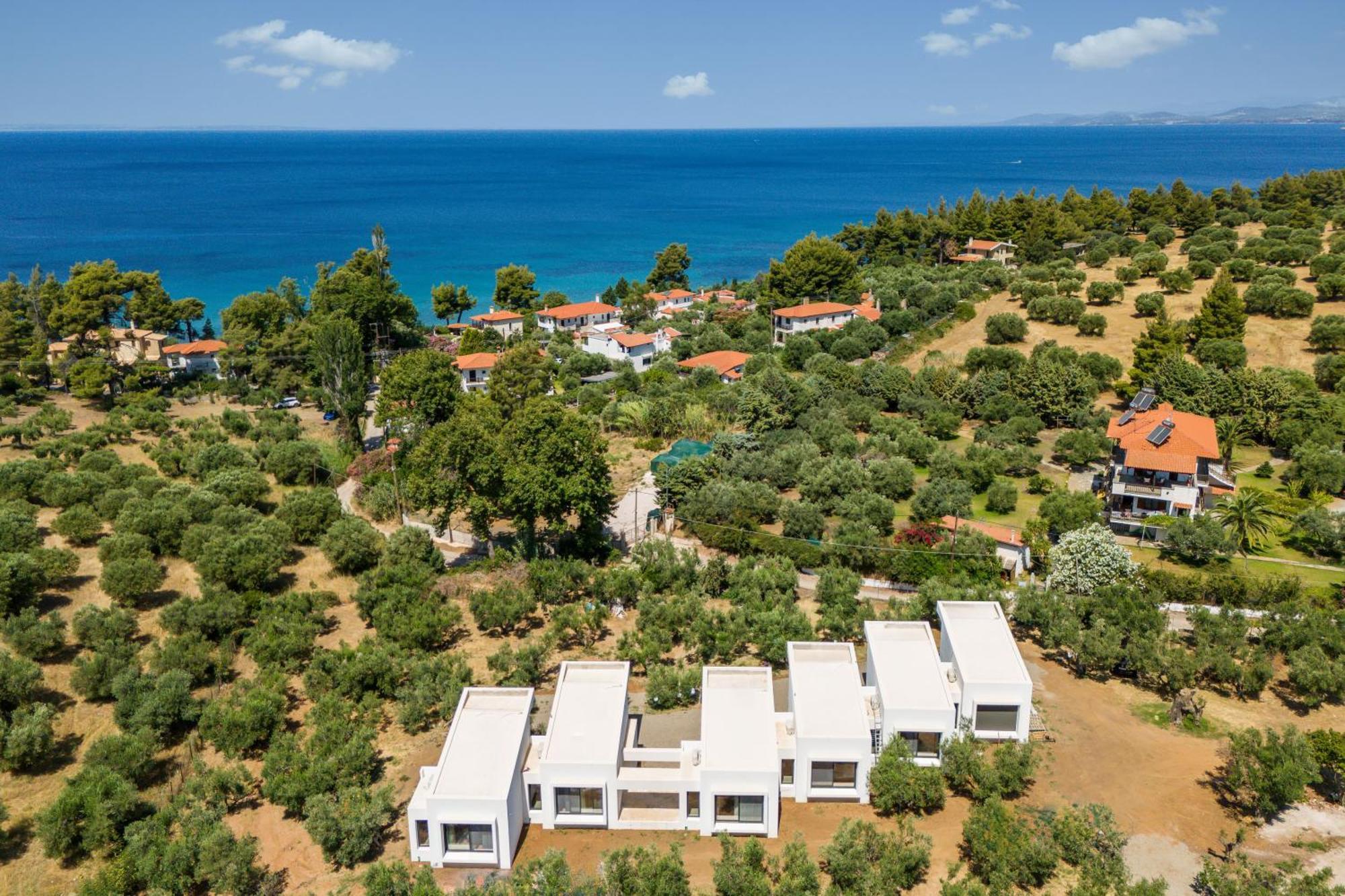 Olea Villas By Halu!, Cozy Villa In Nikiti Лагомандра Екстериор снимка
