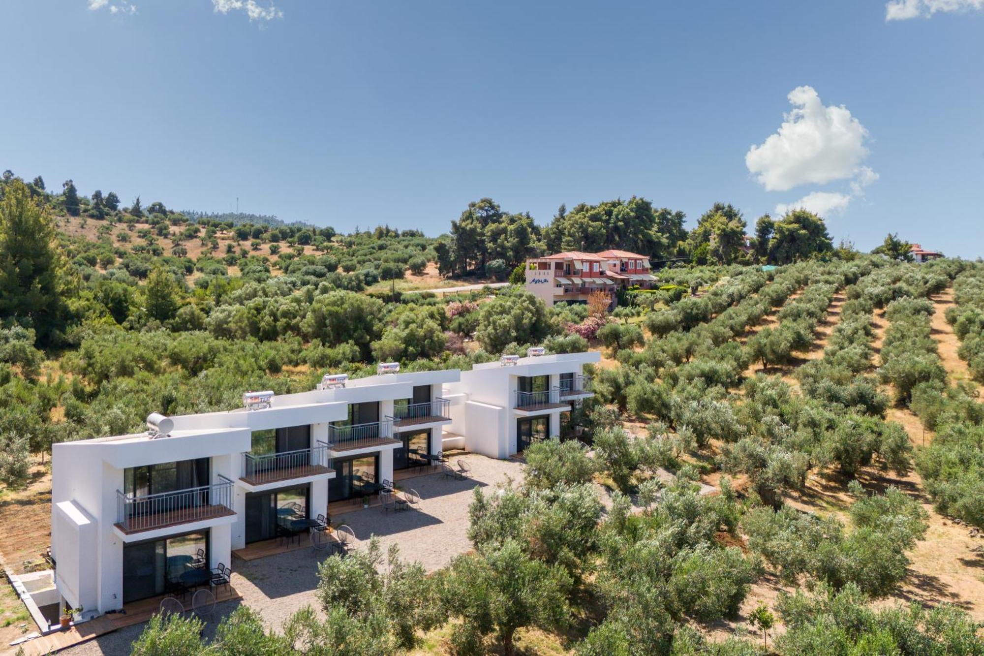 Olea Villas By Halu!, Cozy Villa In Nikiti Лагомандра Екстериор снимка