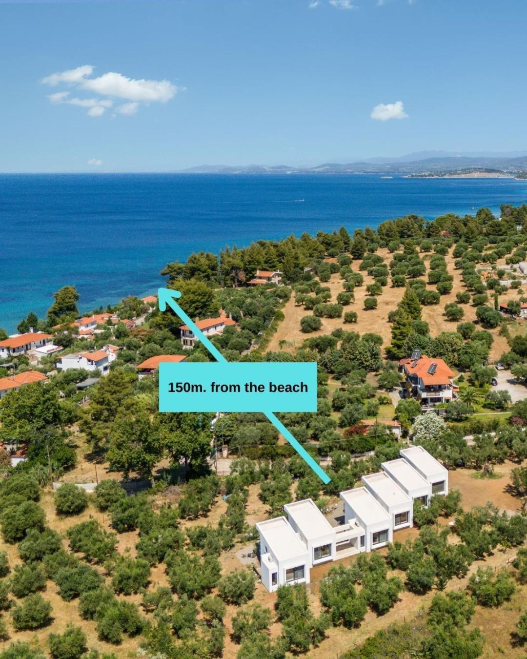 Olea Villas By Halu!, Cozy Villa In Nikiti Лагомандра Екстериор снимка